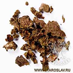 Золотой корень Золотой корень