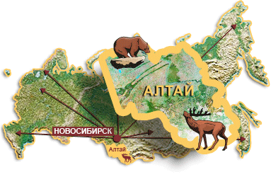 купить лекарственные растения купить лекарственные растения